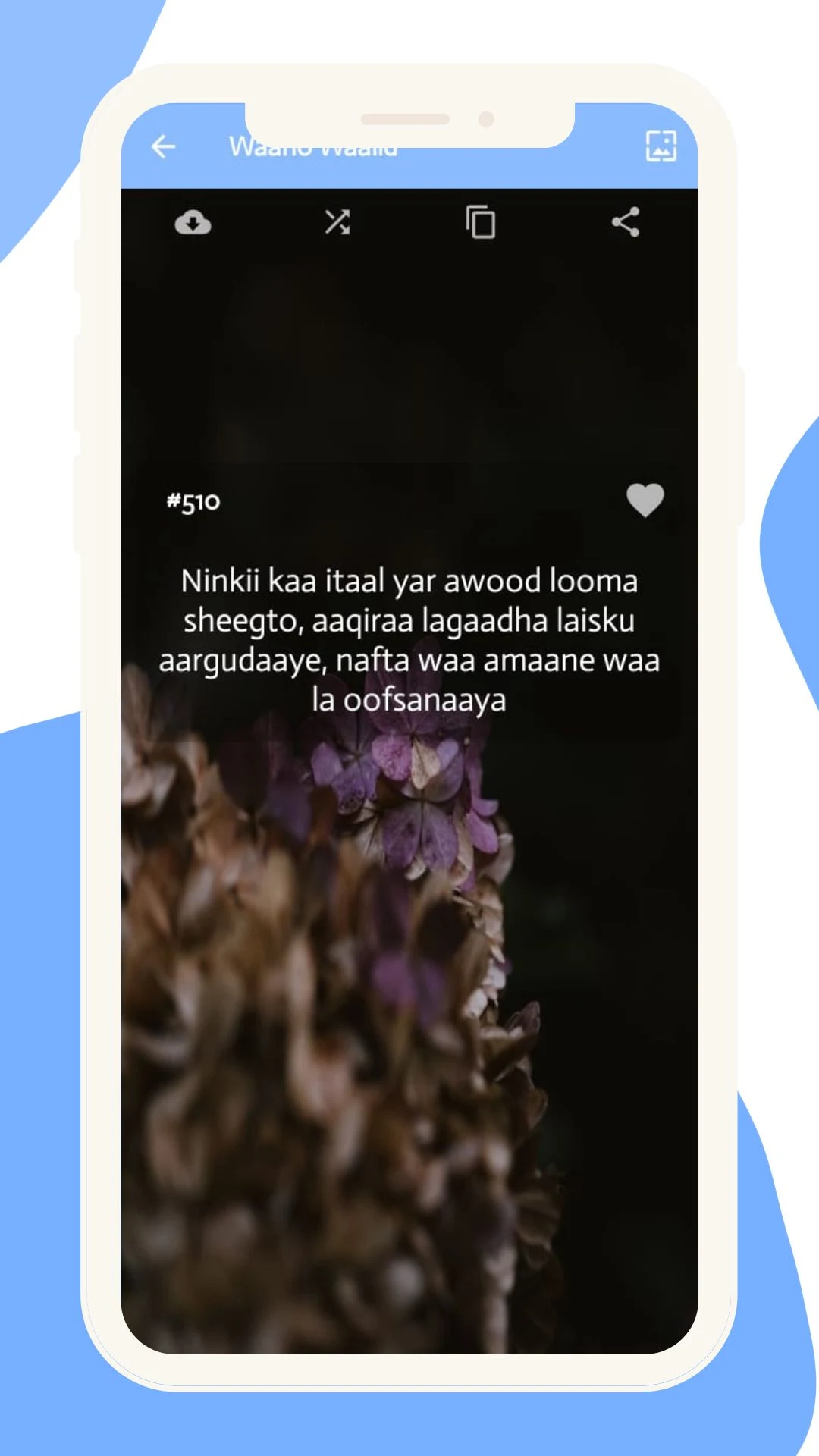 Waano Waalid: Murti iyo xikmad screenshot