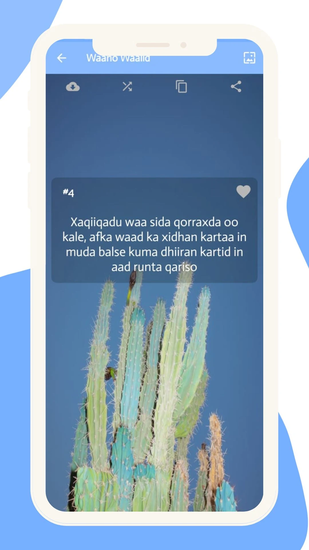 Waano Waalid: Murti iyo xikmad screenshot